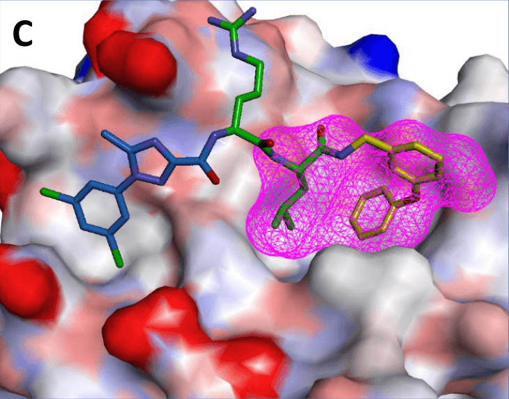 Panel C. Optimized ligand region highlighted on the interface