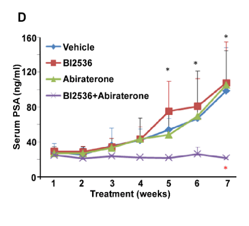 Serum PSA over 7 weeks for vehicle, BI2536, abiraterone, and the combination.